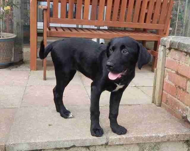 adidas boost shoe box